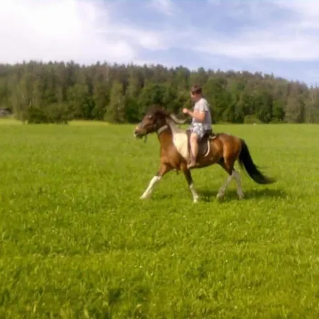 Ferienwohnung Fuer 2 Personen Ca 45 M In Bad Koetzting, Bayern Bayerischer Wald1 Schlafzimmer, 1 Badezimmer, Sat-tv, 1 Sauna, See 3 Km, Skiabfahrt 10 Km, Skilanglauf 10 Km, Gemeinschaftlicher Pool, Top Vermieter 2021, Hund Erlaubt Hotel *