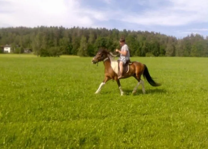 Ferienwohnung Fuer 2 Personen Ca 45 M In Bad Koetzting, Bayern Bayerischer Wald1 Schlafzimmer, 1 Badezimmer, Sat-tv, 1 Sauna, See 3 Km, Skiabfahrt 10 Km, Skilanglauf 10 Km, Gemeinschaftlicher Pool, Top Vermieter 2021, Hund Erlaubt Hotel *